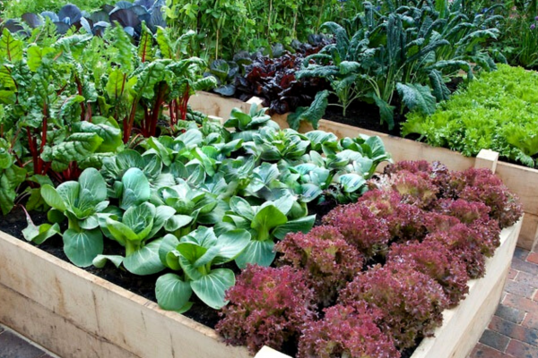 Untitled design (10)