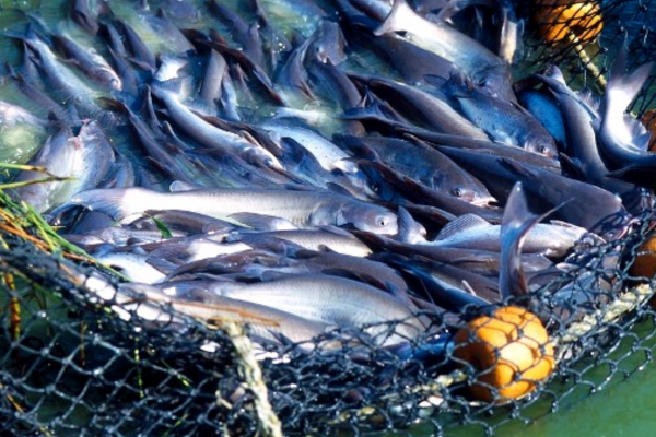 Untitled design (11)